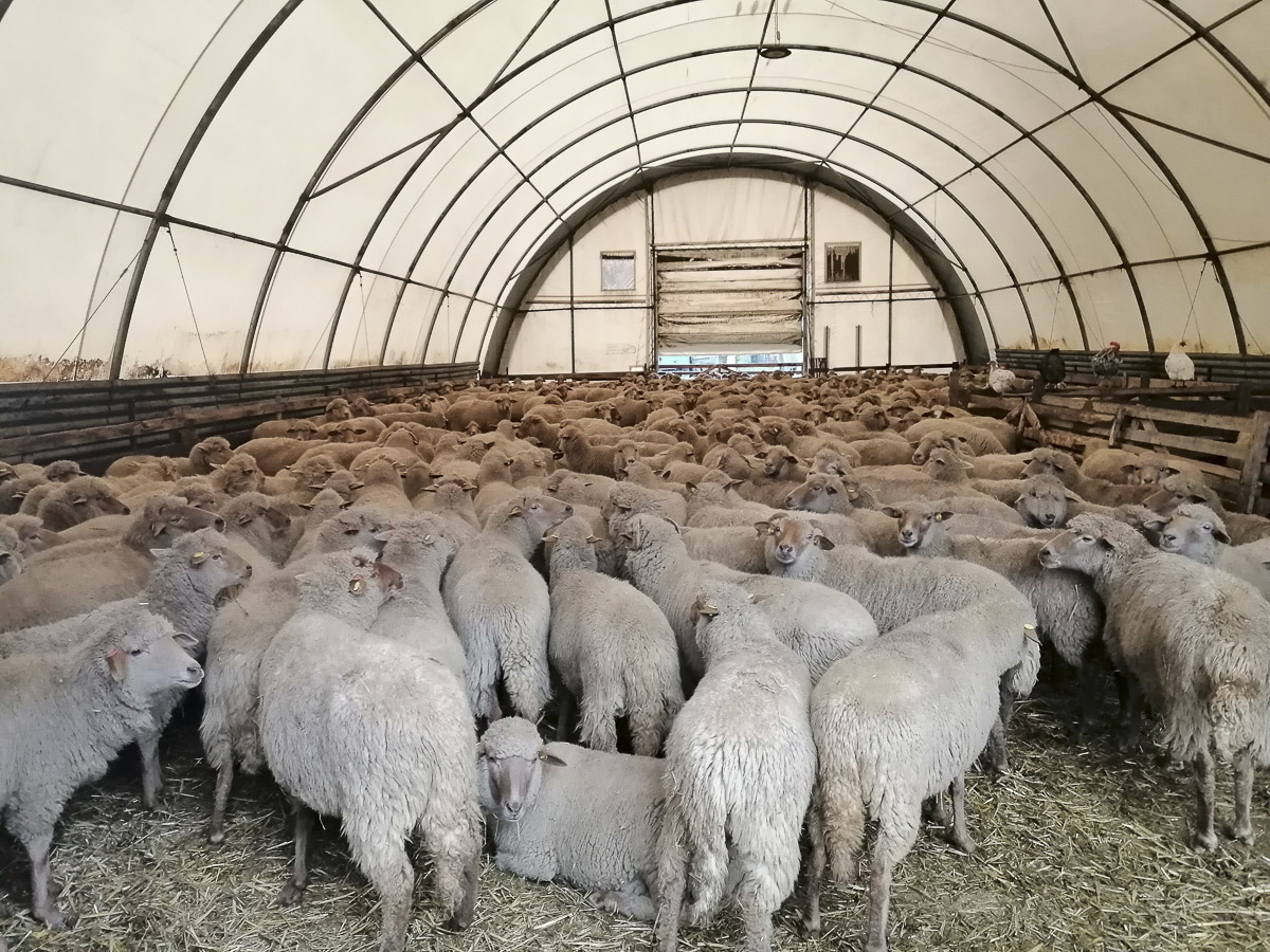 Szakmai látogatás tudományos, kutatási céllal